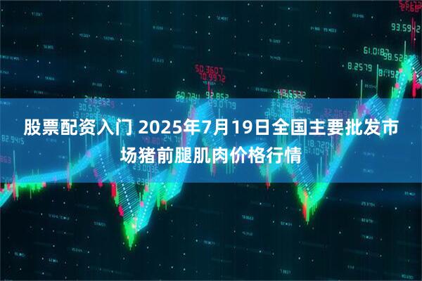股票配资入门 2025年7月19日全国主要批发市场猪前腿肌肉价格行情