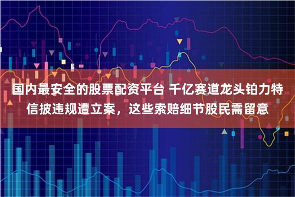 国内最安全的股票配资平台 千亿赛道龙头铂力特信披违规遭立案，这些索赔细节股民需留意
