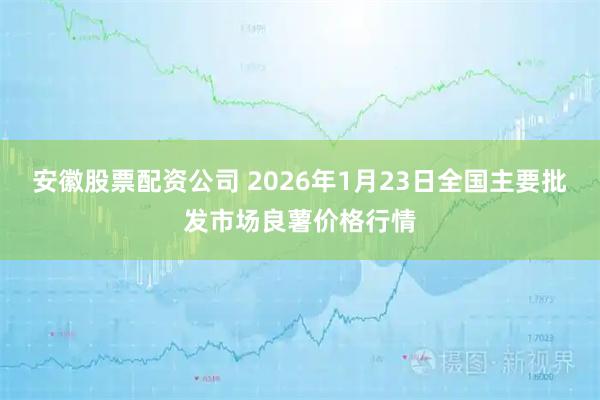 安徽股票配资公司 2026年1月23日全国主要批发市场良薯价格行情